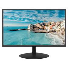 DS-D5022QE-CCTV 21.5 inch FHD Monitor
