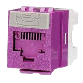 Molex Cat 6 DataGate RJ45 Keystone Jack Purple – KSJ-00018-PP