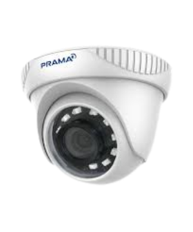 Prama PT-HTD700E-ITP | 2MP 1080P Lite Indoor EXIR Eyeball (TVI)